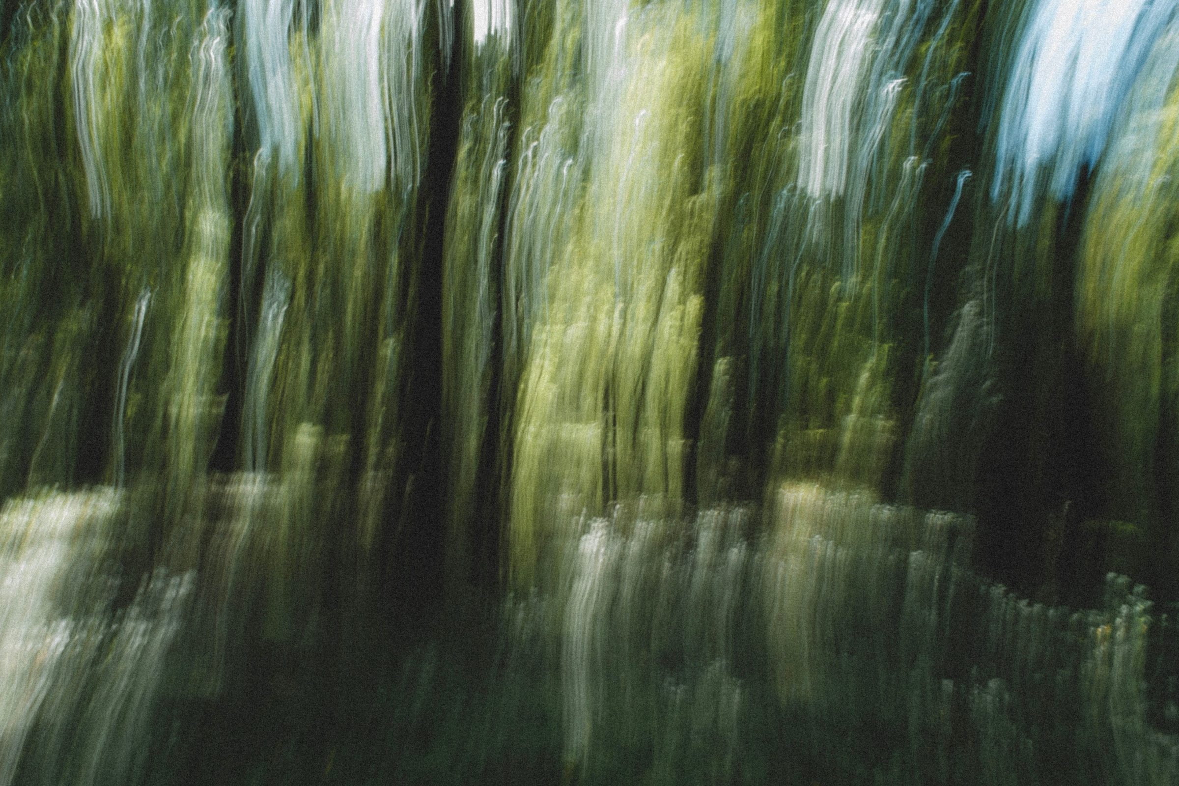 Blurred forest with vertical light shafts