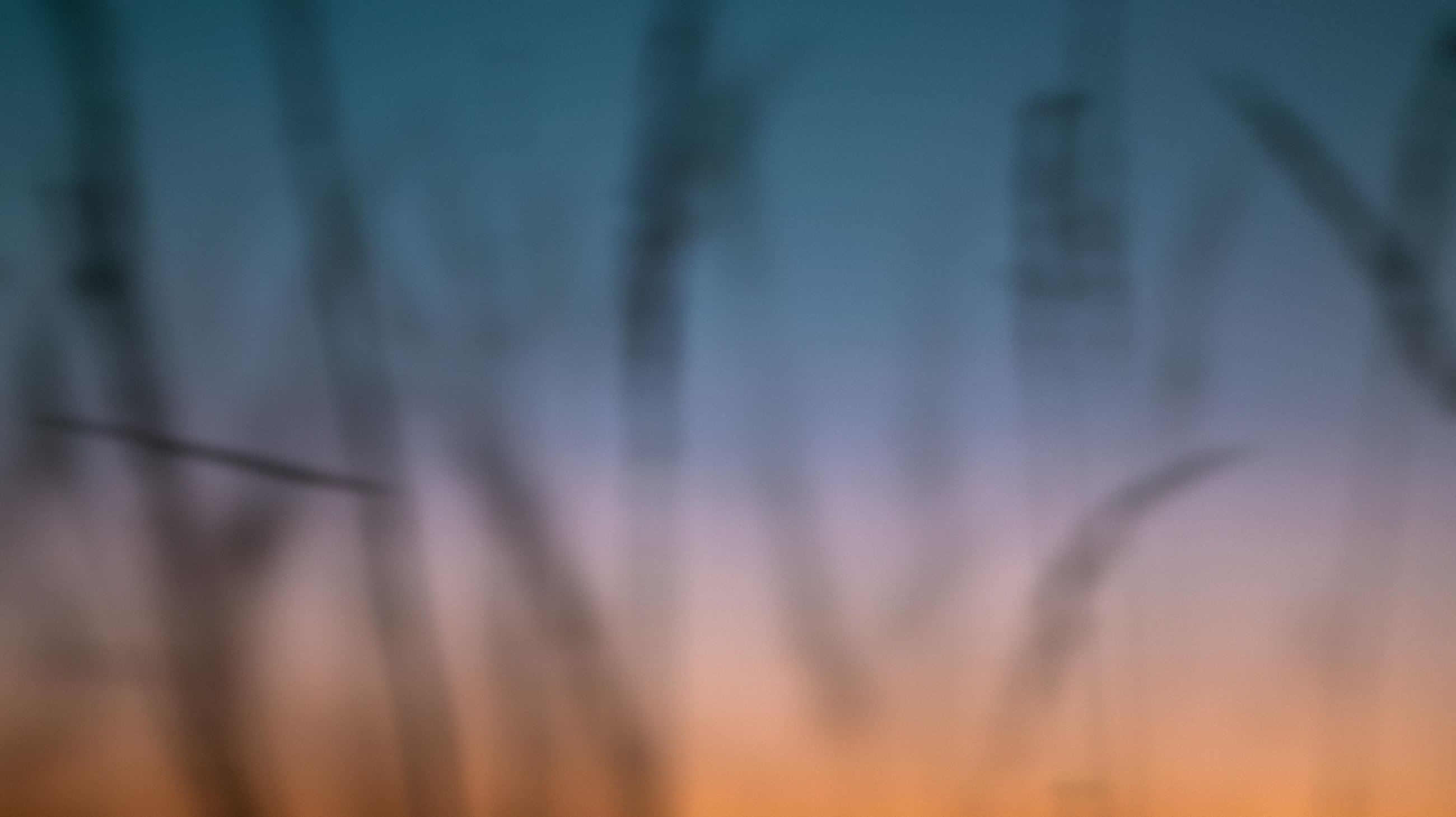 Blurred twilight grass silhouettes against a teal and orange sky.